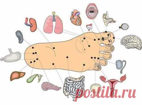 Массаж стопы снимает боли в спине!

Вы можете найти свой позвоночник... на ребре стопы. Туда проецируются все проблемы в спине. Они обнаруживаются в виде болезне…
