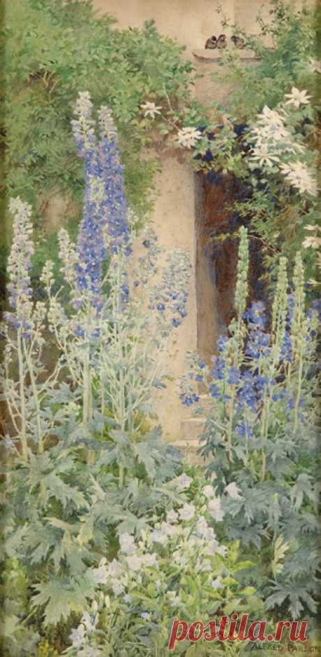 art-and-things-of-beauty:
“ Alfred William Parsons (1847-1920) - Delphiniums, watercolor, 36 x 18 cm.
”