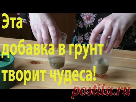 Грунт для рассады: лучшая добавка