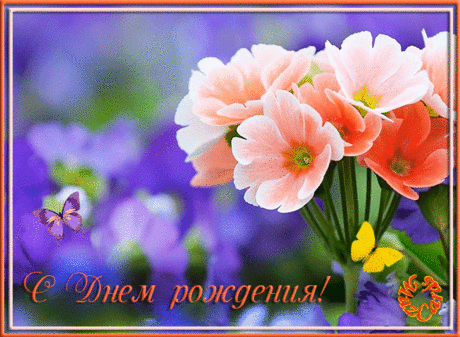 «#цветы» — карточка пользователя Владимир в Яндекс.Коллекциях