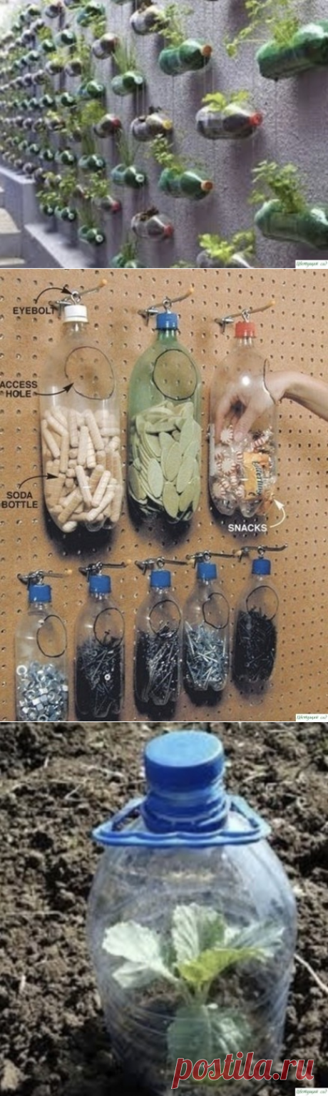 Способы применения пластиковых бутылок на даче