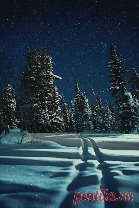 Starry winter night in Siberia, Russia #travel #winter…  |  Pinterest • Всемирный каталог идей