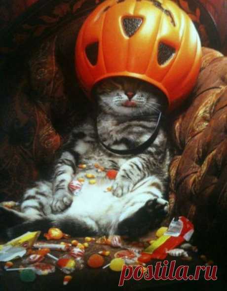 This Cat is the King of Halloween | Funny cats