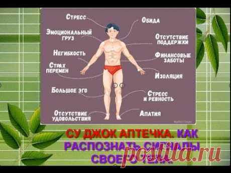 СУ ДЖОК АПТЕЧКА. КАК РАСПОЗНАТЬ СИГНАЛЫ СВОЕГО ТЕЛА.