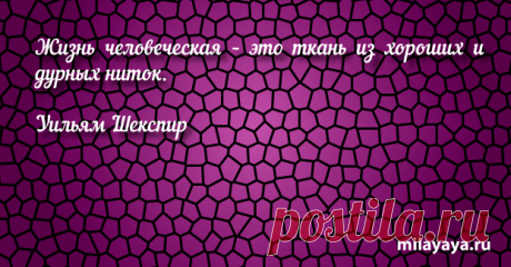 Афоризм про жизнь со смыслом для женщин и девушек (картинка 369) . Милая Я