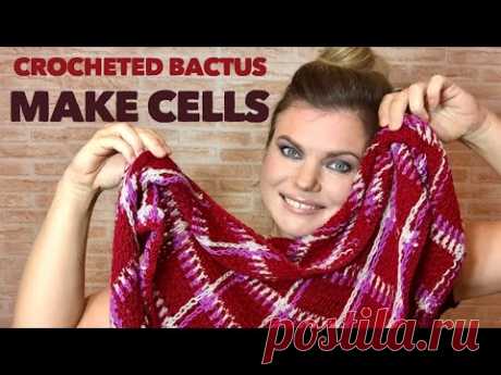 Вяжем КЛАССНЫЙ бактус в клетку! 😱Крючком! Crocheted Bactus by Nataly Masters - YouTube