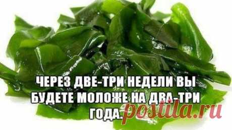Очень простой и доступный рецепт. Покупаем в аптеке сушеные водоросли — ламинарию… — Полезные советы