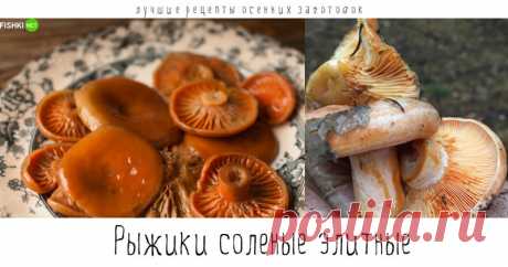 Лучшие рецепты осенних заготовок - чтобы зимой было вкусно!