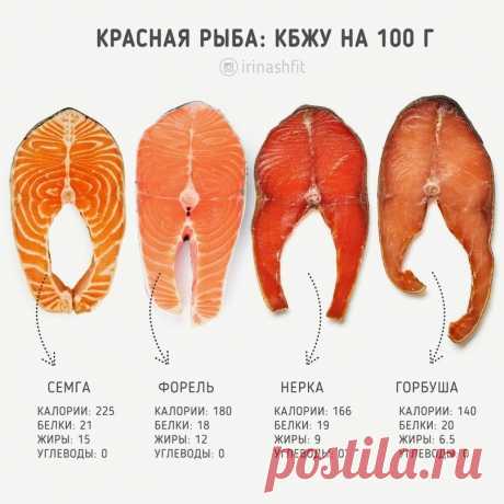 Полезная информация о рыбке