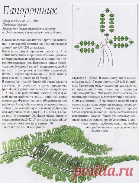 Папоротник. Схема плетения цветов из бисера / Схемы плетения бисером, цветы и деревья из бисера, игрушки своими руками - мастерклассы, макраме, фриволите / Ёжка - стихи, загадки, творчество и уроки рисования для детей