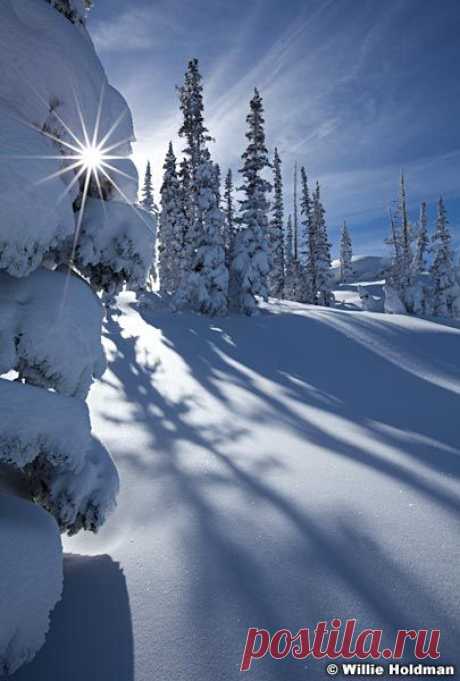 Sunburst behind pine tree with long shadows in winter, Deer Valley, Utah favorite - Landscape Nature Photographer Willie Holdman   |  Pinterest • Всемирный каталог идей