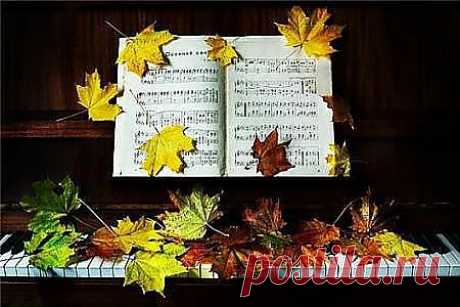 Букет из желтых листьев на рояле.
Я Вам сыграю музыку дождя.
Я Вам сыграю музыку печали,
Как тихо плачет осень, уходя …