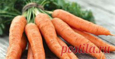 Как сохранить урожай моркови зимой - Свое хозяйство * - Сборник - Познавательный Интернет-журнал &quot;Умеха - мир самоделок&quot;