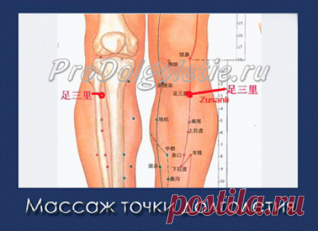 Исцеление от множества болезней с помощью точки долголетия