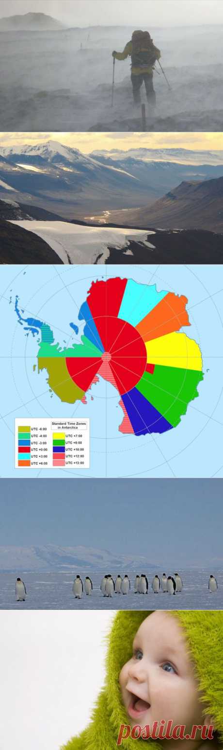 Малоизвестные факты об Антарктиде — Наука и жизнь