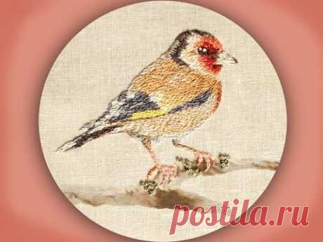 how to embroider a goldfinch in long & short stitch