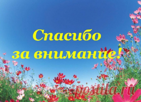 Самый простой способ китайского самомассажа для улучшения здоровья | Ленивая Беседка | Яндекс Дзен