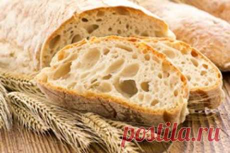 Хлеб для подкормки растений - хлеб для подкормки растений, хлебные подкормки, хлебные удобрения, удобрения из хлеба, как приготовить хлебную подкормку, как приготовить хлебное удобрение