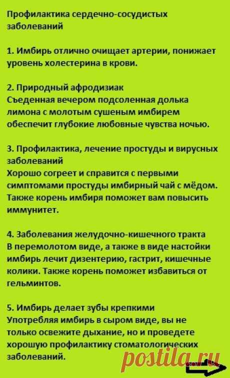 Если каждый день употреблять имбирь, ВОТ что будет происходить с вашим организмом!

Предлагаем 7 основных лечебных свойств имбирного корня, о которых поведали нам древние лекари.

Чем полезен имбирь?