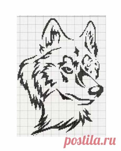 Рисунки по клеточкам волк (25 фото) » Рисунки для срисовки и не только