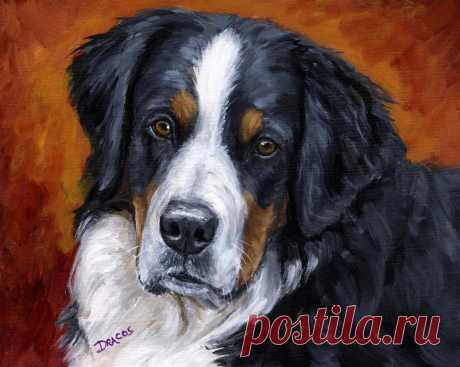 Bernese mountain dog on rust by Dottie Dracos Bernese mountain dog on rust Painting by Dottie Dracos