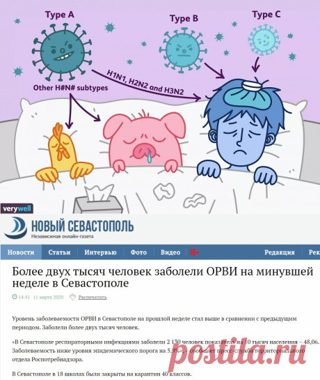 Хорошо, что не коронавирус! – Варламов.ру – ЖЖ