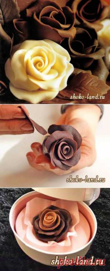 Шоколадные розы - Рецепты украшений