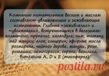 17 бальзамов для губ своими руками - как сделать в домашних условиях, народные рецепты, гигиеническая помада с пчелиным воском в аптеке