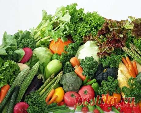 Продукты с нулевой калорийностью, или еда для кроликов | ПолонСил.ру - социальная сеть здоровья