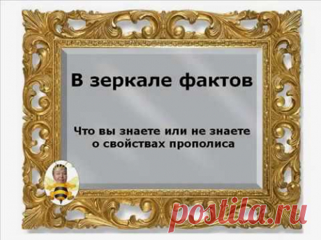 В зеркале фактов. Свойства прополиса - YouTube