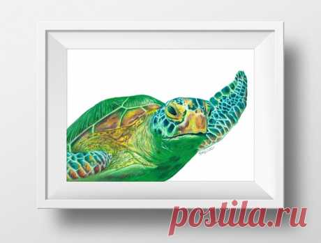 Green Sea Turtle Colored Pencil Drawing with White background | Etsy