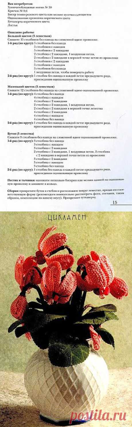 .Цикламен в вазе: Дневник группы «ВЯЗАНЫЕ ЦВЕТЫ»: Группы - женская социальная сеть myJulia.ru