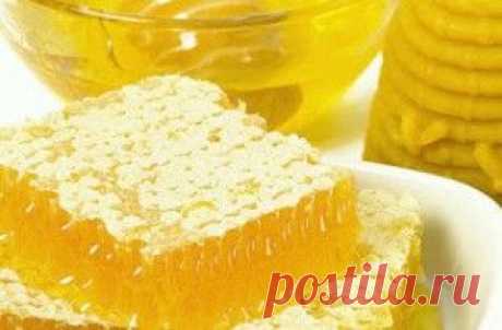 Польза меда для печени | лечение печени мёдом - 6 рецептов в домашних условиях - Lechilka.com