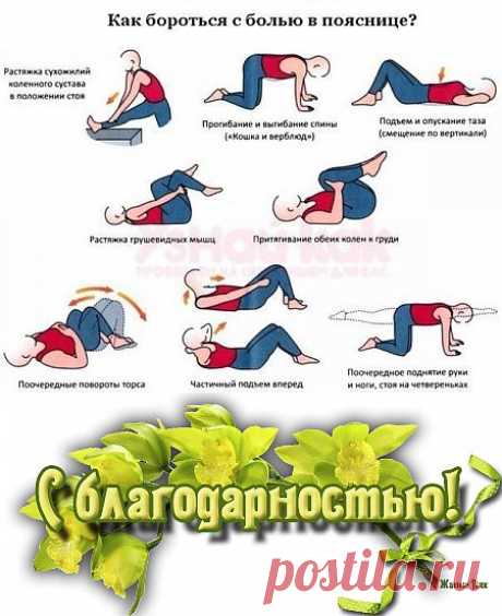 УПРАЖНЕНИЯ ПРИ БОЛИ В ПОЯСНИЦЕ. Если боль  не острая, укрепляющие мышцы спины, живота и ног, а также по рекомендации лечащего врача разрешается выполнять упражнения на растяжение. В случае усиления боли при выполнении упражнений надо немедленно остановиться и обратиться за советом к врачу. Если те или иные физические упражнения помогли вам избавиться от боли в спине, продолжайте  и подключайте . Узнать myh888@mail.ru