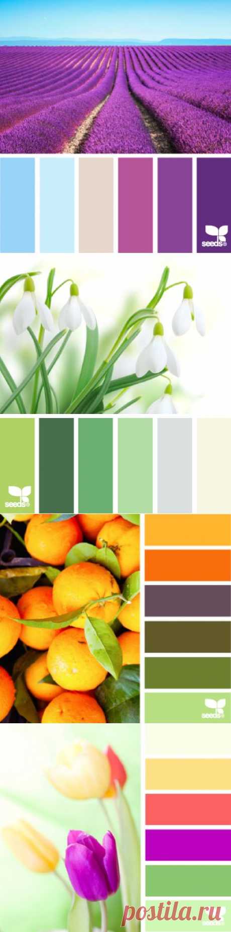 Design Seeds® | for all who ❤ color.
 Сочетание цветов