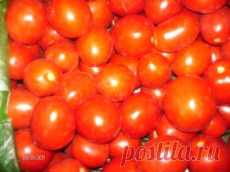 Соленые помидоры, квашеные вкусные! Особенно для закуски:)) : Помидоры