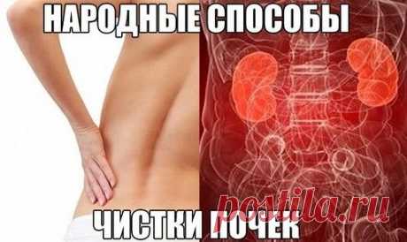 Народные способы чистки почек | Велемудр