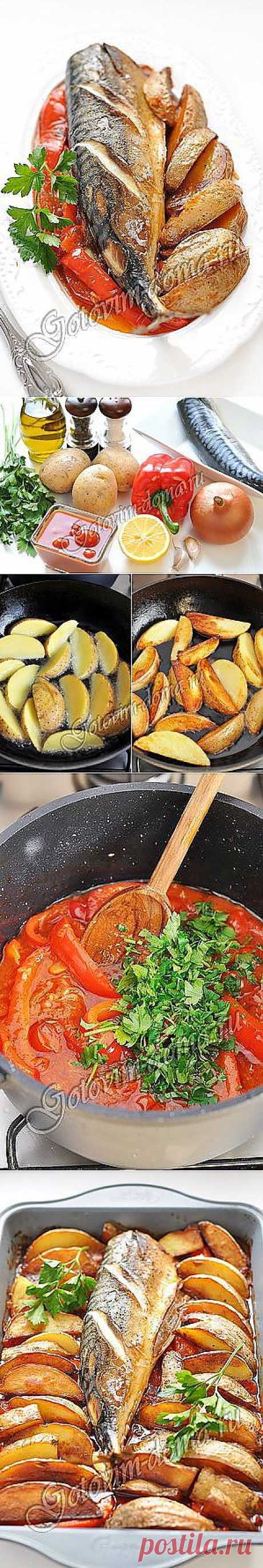 Рецепт: Скумбрия, запеченная с картофелем и болгарским перцем | postila.ru/Юра%20Вахрушев