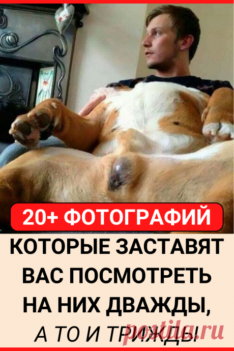 20+ фотографий, которые заставят вас посмотреть на них дважды, а то и трижды
#юмор #прикол #смешно #смешное #смешной_юмор #самое_смешное #смешное_фото