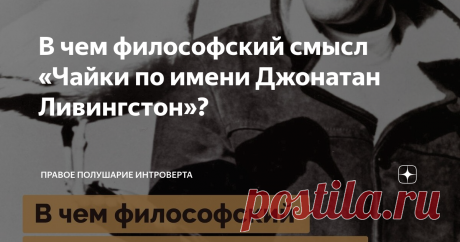 В чем философский смысл «Чайки по имени Джонатан Ливингстон»? Повесть-притча «Чайка по имени Джонатан Ливингстон» вышла в 1970 году и покорила читателей простотой изложения, сильными метафорами и общим духовным порывом. Причем автора сложно назвать профессиональным писателем: всю жизнь он занимается полетами на малой авиации.
Давайте посмотрим, как Ричард Бах смог завоевать любовь читателей и чем примечательна его повесть.
О чем эта повесть?
Ричард Бах