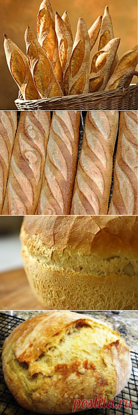 Поиск на Постиле: хлеб в духовке