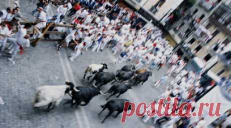 RTVE: пять бегунов пострадали во время забега быков на фестивале Сан-Фермин. По меньшей мере пять человек пострадали во время забега быков (энсьерро) на испанском фестивале Сан-Фермин. Читать далее