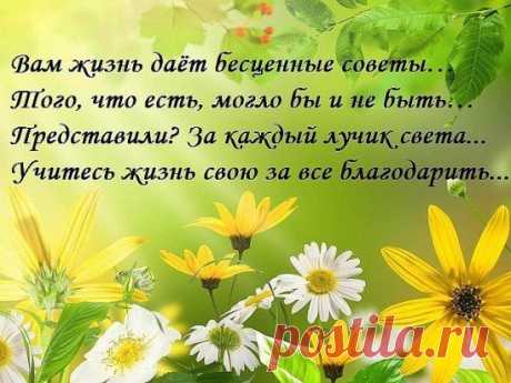 Не подходите к человеку ближе, чем он позволяет, и не подпускайте человека ближе, чем он этого заслуживает.