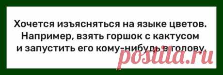 Подборка легкого юмора для заряда позитивом - Смехотерапия - 26 марта - 43606248124 - Медиаплатформа МирТесен