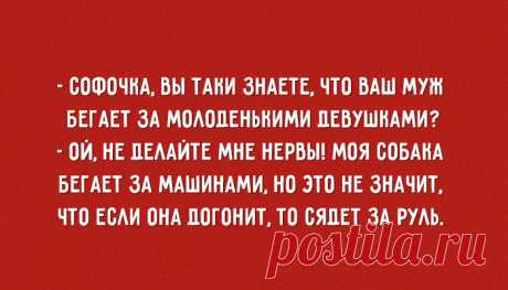 От самого неунывающего народа в мире.