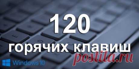 120 горячих клавиш
●Операционная система Windows
Ctrl+C — копировать. Для того чтобы увидеть содержание буфера обмена в MS Office, нажми Ctrl+C дважды.
Ctrl+N — создать новый документ.
Ctrl+O — открыть.
Ctrl+S — сохранить.
Ctrl+V — вставить.
Ctrl+W — закрыть окно.
Ctrl+X — вырезать.
Ctrl+Y — повторить отмененное действие.
Ctrl+Z — отменить последнее изменение.
Ctrl+Home — переместиться в начало документа.
Ctrl+End — переместиться в конец.
Windows+E — запустить Проводник Windows (Explorer).
Win