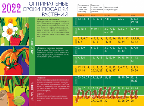 Лунный посевной календарь 2022 для садовода, огородника и цветовода – Таблицы по месяцам и дням!