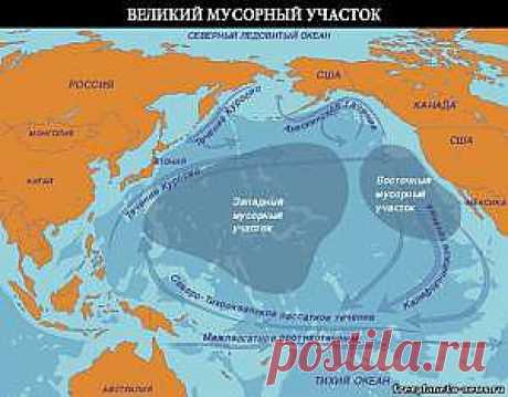 Самое интересное -&quot;Новости экологии - Западное побережье США превращается в радиоактивную зону - 9 Января 2014&quot;- Свободная планета