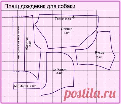 Как сшить одежду для собаки: выкройка, фото лучших моделей. Одежда для собак своими руками