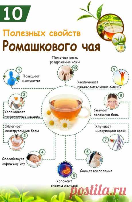 7 полезных для организма свойств чая из ромашки. Вред